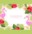 flamingo banner template with cute tropical exotic vector image