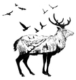 hand drawn deer for your design wildlife concept vector image