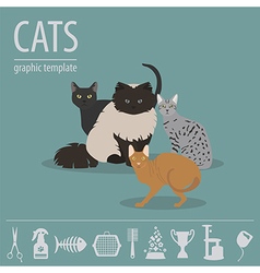 Cat breeds icon set flat style isolated on white Vector Image