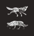 gray wolf logo and badge forest mountain vector image