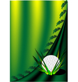 background with a golf ball vector image vector image
