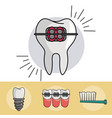 dental braces elements vector image