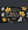 autumn big sale typography poster with leaves vector image