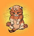 cute kitten pet cat vector image