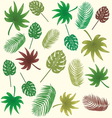 tropical leaves background vector image vector image