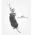 feather with flying flock of birds vector image vector image