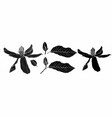 hand drawn magnolia flowers botanical design vector image vector image