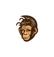 monkey head smile design vector image