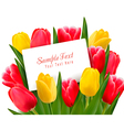 red and yellow tulips vector image
