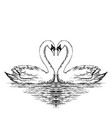 Two swans sketch hand drawn Royalty Free Vector Image