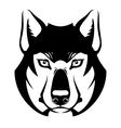 wolf face symbol vector image