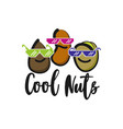 isolated cartoon nuts character vector image vector image