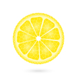 lemon icon on a white vector image