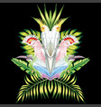parrot mirror tropical leaves black background vector image vector image