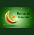 banner for ramadan kareem holiday with golden vector image vector image