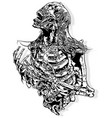 horror skeleton drawing vector image vector image