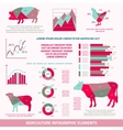 agriculture infographic elements vector image vector image