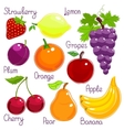selection of colorful tropical fruit with labels vector image