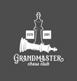 chess labels badges and design elements vector image