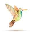 hummingbird vector image