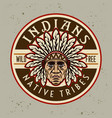 american indians vintage emblem label vector image