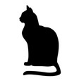 silhouette a black cat sitting vector image
