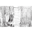 texture vector image