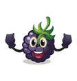 berry vector image vector image
