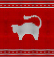 christmas knitted pattern with cat vector image