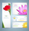 flowers backgrounds vector image vector image