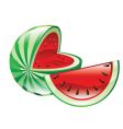 watermelon vector image