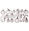 autumn halloween pumpkin in line style isolated vector image