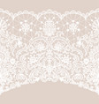seamless white lace vector image