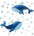 seamless pattern with cute cartoon blue whale vector image vector image