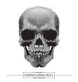 human horror skull vector image