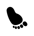 baby footprint icon vector image