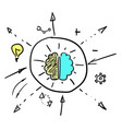left and right brain hemispheres vector image