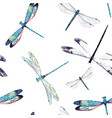watercolor dragonfly pattern vector image