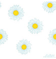 beautiful seamless pattern with flowers daisy vector image