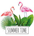 slogan summer time tropical leaves flamingo white vector image