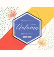 fashion dynamic autumn sale vector image vector image