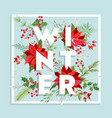 christmas winter floral card poinsettia vector image vector image