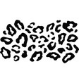 cheetah leopard pattern animal print texture vector image