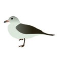 seabird seagull isolated on white background vector image vector image
