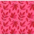 seamless pattern with autumn leaves in red-pink vector image vector image