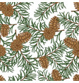 seamless pattern with hand drawn pine cones vector image