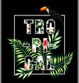 tropical slogan toucan and palm leaves print vector image vector image