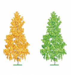 Colored tree Royalty Free Vector Image - VectorStock