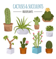 cactuses and succulents icon set houseplants vector image