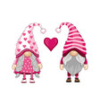gnomes for valentine day vector image